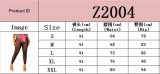 Summer Women's Fashion Sexy Tight Fitting Mesh See-Through Basic Pants Women