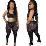 Women Stretch See-Through Lace Sexy Crop Top+Pant Two piece set