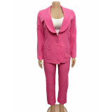 Women Casual Long Sleeve Suit + Pants Two Piece