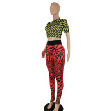 Women's Chic Mesh Top and Pants Print Two Piece