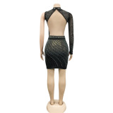 Nightclub Beaded Round Neck One Sleeve Mesh See-Through Cutout Skirt Dress