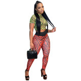 Women's Chic Mesh Top and Pants Print Two Piece