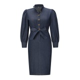 Fall Winter Elegant Stand Collar Long Sleeve Vintage Denim Dress Plus Size Women Clothing