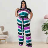Plus Size Fall Women's Fashion Tye Die Stripe Print Short Sleeve Tied Top Straight Leg Pants Two Piece Set