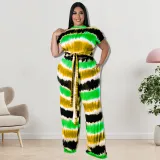 Plus Size Fall Women's Fashion Tye Die Stripe Print Short Sleeve Tied Top Straight Leg Pants Two Piece Set