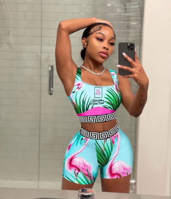 Casual Women's Two-Piece Holidays-Inspired Digital Print Tank and Shorts Set