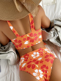 Women Lace-Up Print Backless High Waist Sexy Bikini Swimwear