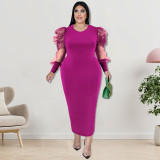 Plus Size Fall Women'S Round Neck Ruched Mesh Long Sleeve Solid Color Long Dress