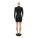 Women Sequined See-Through Long Sleeve Party Bodycon Dress