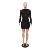 Women Sequined See-Through Long Sleeve Party Bodycon Dress