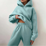 Fall/Winter Women Casual Solid Hoodies + Pant Two Piece