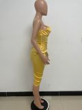 Women Sexy Tunic Pleated Dress