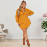Plus Size Women's Solid Color Fall Long Sleeve Long Shirt