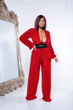 Women Sexy V-Neck Pleated Long-Sleeve Top+Pant Two-Piece Set
