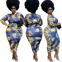 Plus Size Women'S Round Neck Leopard Print Zip Back Long Dress