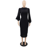 Chic Elegant Style Solid Color Cutout Long Sleeve Slim Fit Women'S Sheath Dress