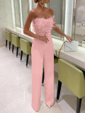 Spring Summer Feather Strapless Sexy Fashion Jumpsuit