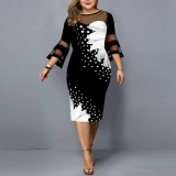 Digitally Printed Mesh Patchwork Plus Size Women's Dress