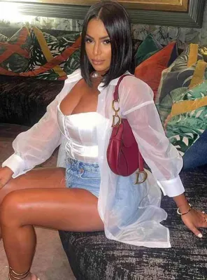Women's Spring Autumn Sexy Organza Turndown Collar Long Sleeve Single Breasted Dress Women