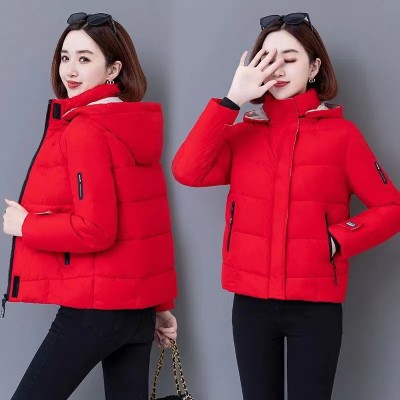 Women'S Short Winter Hooded Down Coat Clothing Plus Size Padded Jacket