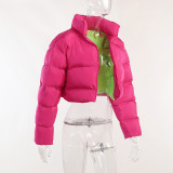 Contrast Color Short Cotton Clothes Winter Fashion Women's Winter Cotton Clothes Plus Size Long Sleeve Jacket