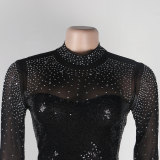 Sexy See-Through Mesh Feather Bodycon Slim Sequin Beaded Dress