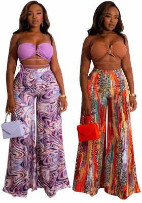 Sexy Low Back Bandeau Print Two-Piece Pants Set