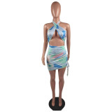 Womens Printed Pleated Sexy Halter Neck Dress