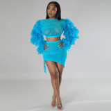 Round Neck Feather Sleeve Beaded Cropped Top Over Irregular Skirt Two Piece Women