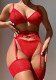 Erotic Lingerie Bikini Garter Belt Sexy Bra Lace Set