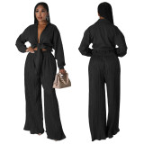 Fall Women'S Long Sleeve V-Neck Tie Top Pleated Wide Leg Pants Two Piece Set