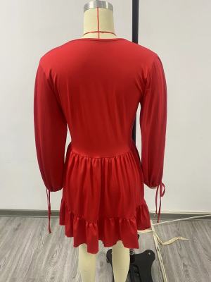 WomenCasual Split Lace-Up Long Sleeve Pleated Dress