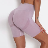 High Waist Butt Lift Sports Shorts Tight Fitting Gym Pants Quick Dry Training Running Yoga Pants