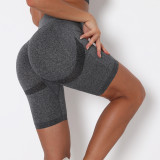 High Waist Butt Lift Sports Shorts Tight Fitting Gym Pants Quick Dry Training Running Yoga Pants