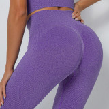 Seamless knitting Ribbed peach hip v waist yoga pants High Stretch sports running fitness wear