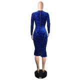 Women Deep V-Neck See-Through Fishtail Maxi Evening Dress