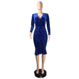 Women Deep V-Neck See-Through Fishtail Maxi Evening Dress