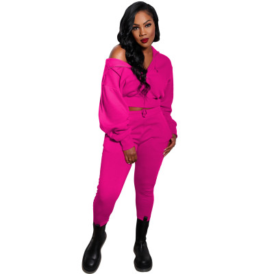 Women Long Sleeve Hoodies And Pant Sports Duo