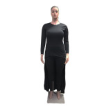 Plus Size Women Casual Long Sleeve Top and Pant Two Piece
