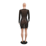 Women Fashion Round Neck Long Sleeve See-Through Beaded Feather Bodycon Party Dress