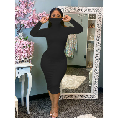 Women'S Sexy Fashion High Neck Solid Color Long Sleeve Dress