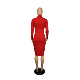Women'S Sexy Fashion High Neck Solid Color Long Sleeve Dress