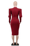 Women's Long Sleeve Dress Autumn Chic Slim Dress