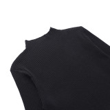 Women Solid Slim Turtleneck Basic Sweater