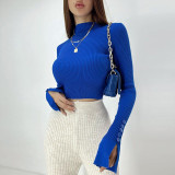 Women Solid Slim Turtleneck Basic Sweater