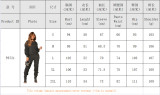 Women Fall Winter Pleated Casual Hoodies Two Piece