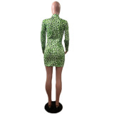 Women'S Leopard Print Zipper Long Sleeve Sexy Dress