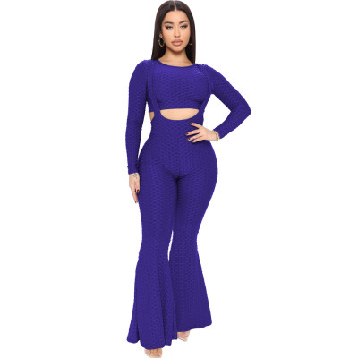 Women Solid Long Sleeve Crop Top and Stretch Jacquard Suspender Bell Bottom Pant Two-Piece
