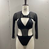 Sexy hot two-piece mesh swimsuit bikini