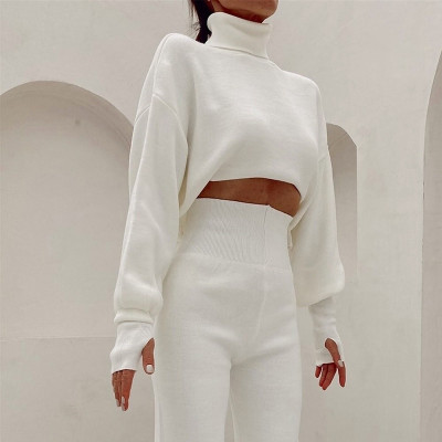 Solid Color Turtleneck Knit Slim Top Women'S Fashion Sweater